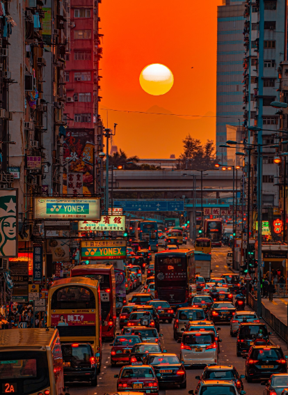 Cheezburger Image 10618489088