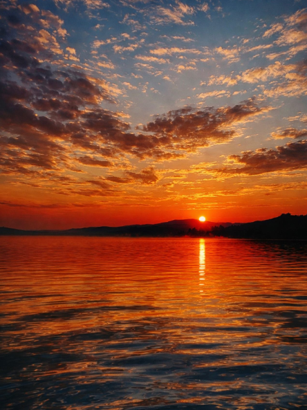 Cheezburger Image 10618489856