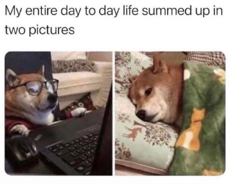 My entire day to day life summed up in two pictures