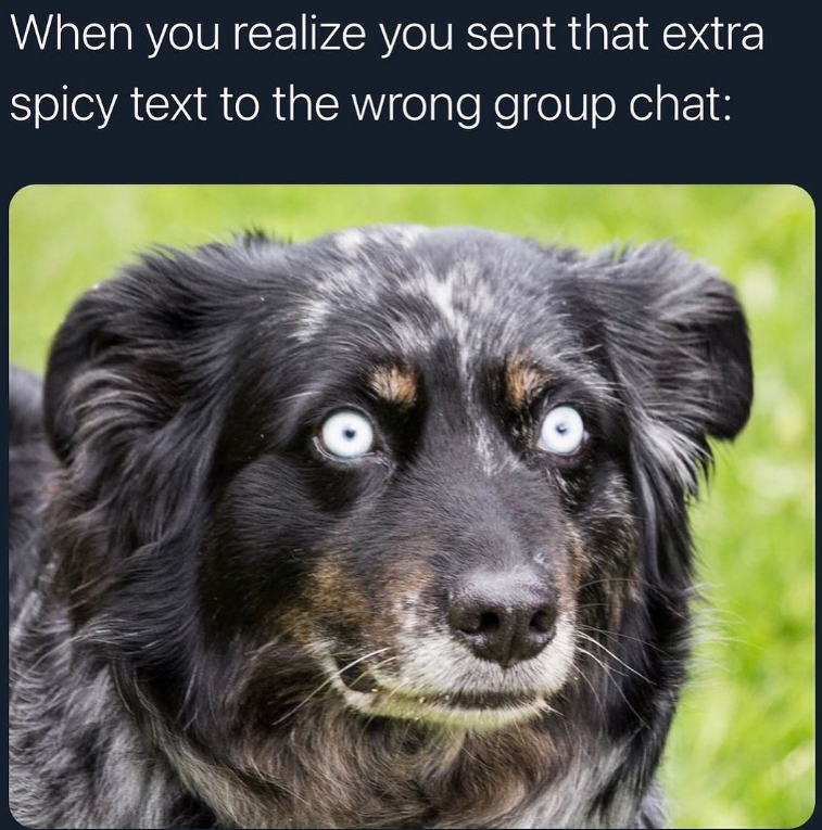 When you realize you sent that extra spicy text to the wrong group chat: