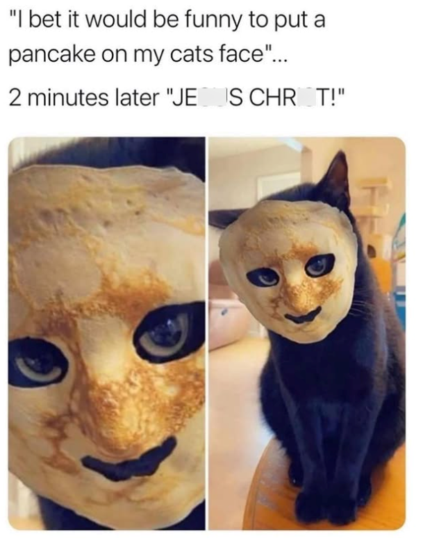 "I bet it would be funny to put a pancake on my cats face".... 2 minutes later "JE S CHR_T!"