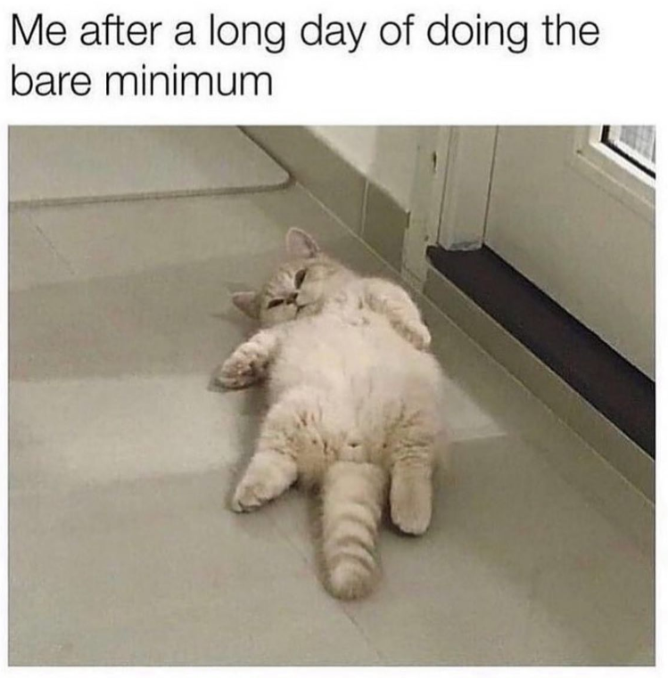 Me after a long day of doing the bare minimum