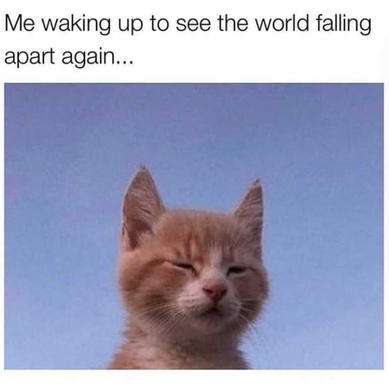 Me waking up to see the world falling apart again...