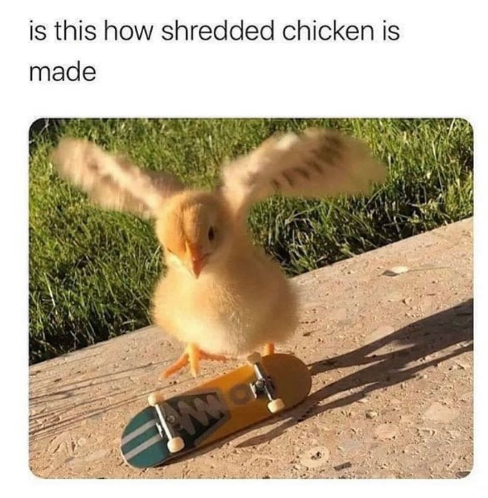 is this how shredded chicken is made