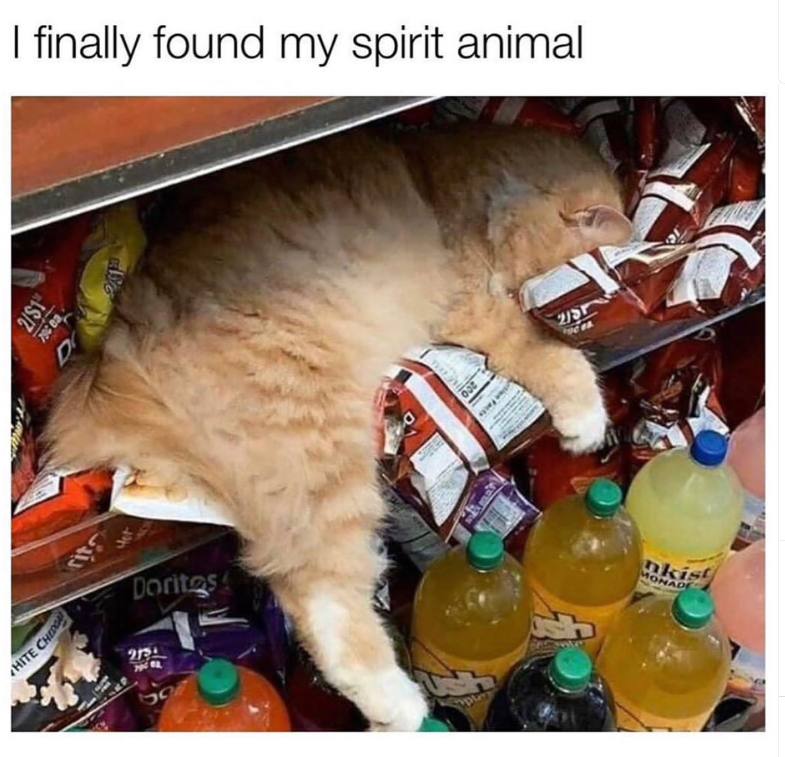 HITE CHEDG 2/$1 ritt Het Doritos 213 597 I finally found my spirit animal 008 2/5 nkist MONAD