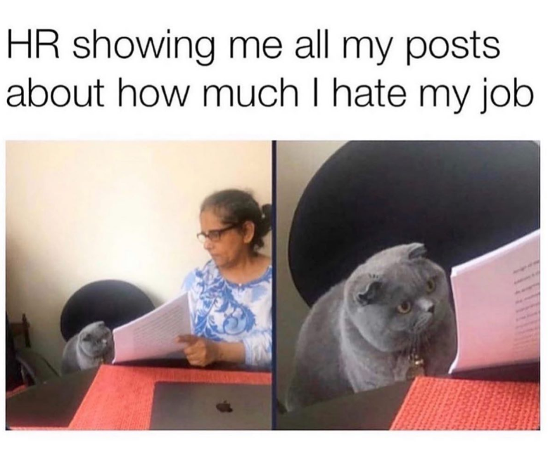 HR showing me all my posts. about how much I hate my job TA