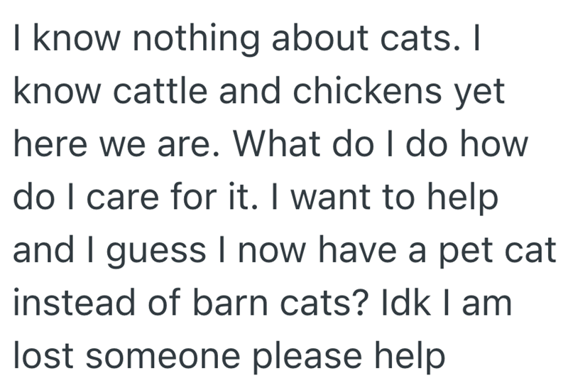 I know nothing about cats. I know cattle and chickens yet here we are. What do I do how do I care for it. I want to help and I guess I now have a pet cat instead of barn cats? Idk I am lost someone please help