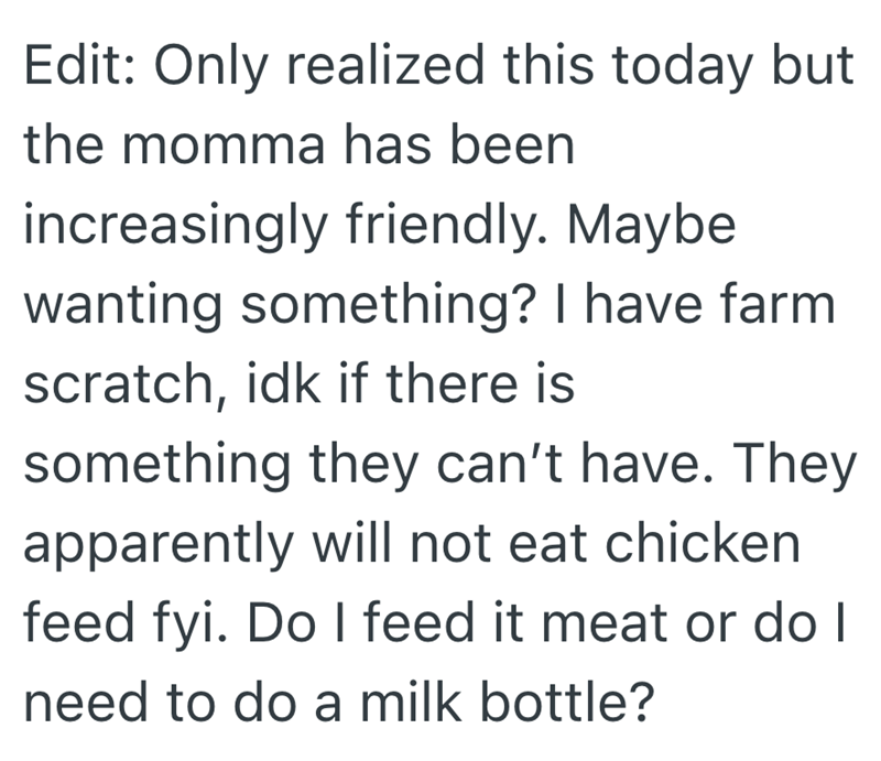 Edit: Only realized this today but the momma has been increasingly friendly. Maybe wanting something? I have farm scratch, idk if there is something they can't have. They apparently will not eat chicken feed fyi. Do I feed it meat or do I need to do a milk bottle?