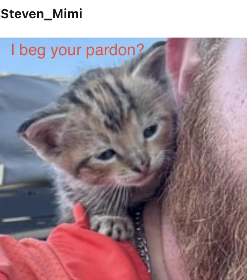 Steven_Mimi I beg your pardon?