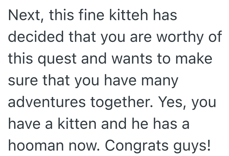 Next, this fine kitteh has decided that you are worthy of this quest and wants to make sure that you have many adventures together. Yes, you have a kitten and he has a hooman now. Congrats guys!