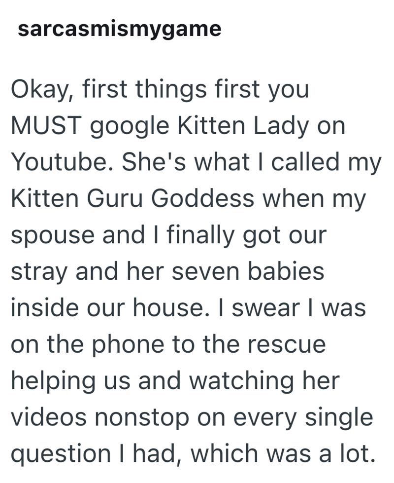 sarcasmismygame Okay, first things first you MUST google Kitten Lady on Youtube. She's what I called my Kitten Guru Goddess when my spouse and I finally got our stray and her seven babies inside our house. I swear I was on the phone to the rescue helping us and watching her videos nonstop on every single question I had, which was a lot.