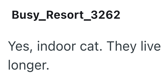 Busy_Resort_3262 Yes, indoor cat. They live longer.