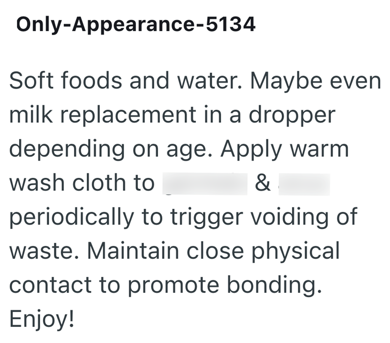 Only-Appearance-5134 Soft foods and water. Maybe even milk replacement in a dropper depending on age. Apply warm wash cloth to & periodically to trigger voiding of waste. Maintain close physical contact to promote bonding. Enjoy!