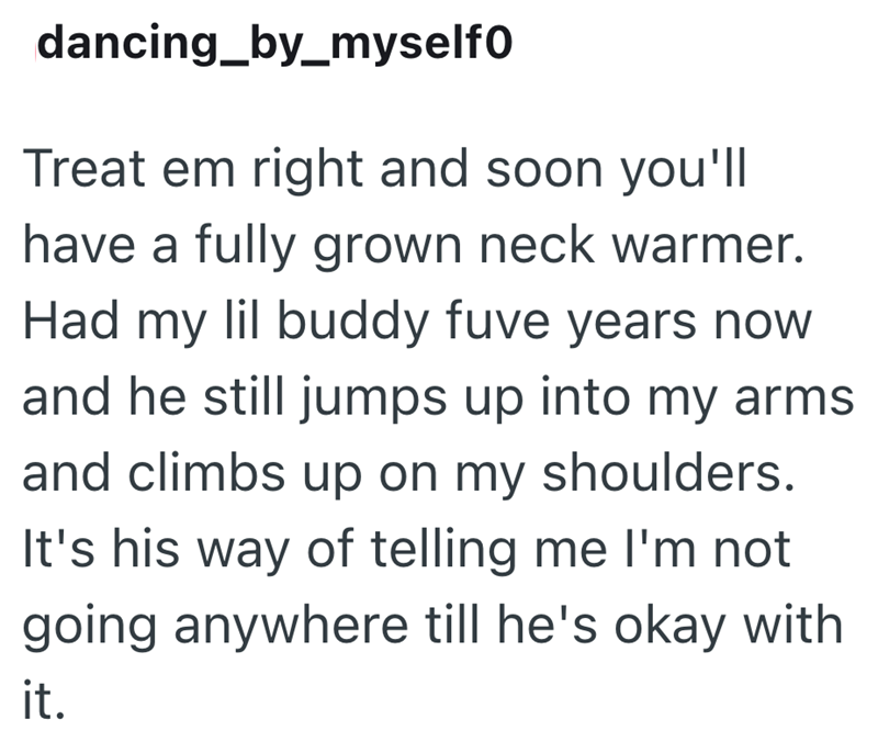 dancing_by_myself0 Treat em right and soon you'll have a fully grown neck warmer. Had my lil buddy fuve years now and he still jumps up into my arms and climbs up on my shoulders. It's his way of telling me I'm not going anywhere till he's okay with it.