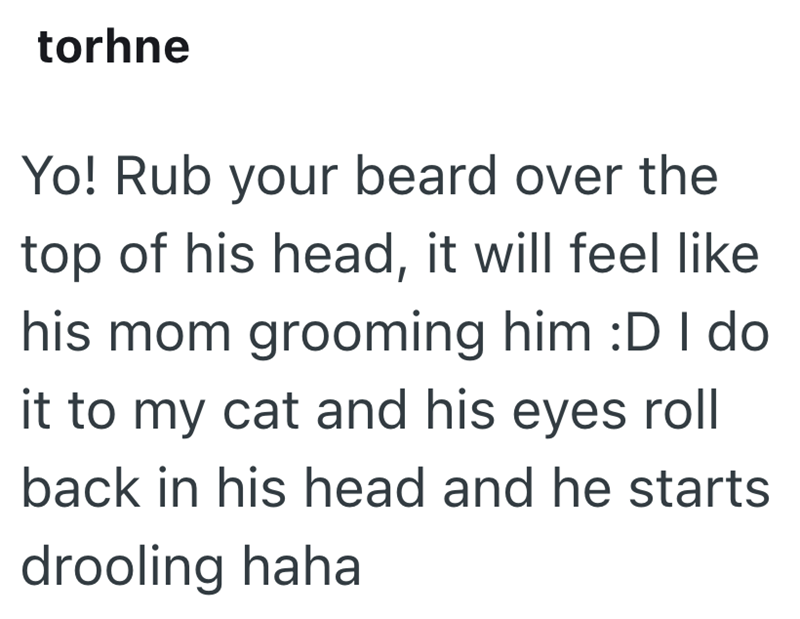 torhne Yo! Rub your beard over the top of his head, it will feel like his mom grooming him :D I do it to my cat and his eyes roll back in his head and he starts drooling haha