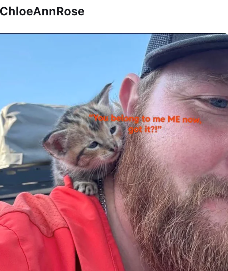 ChloeAnnRose betond to me ME now, it?!"