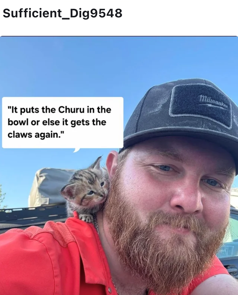 Sufficient_Dig9548 "It puts the Churu in the bowl or else it gets the claws again." Milwau