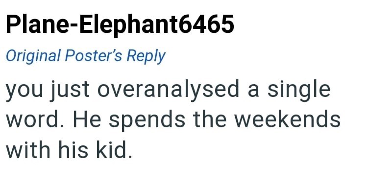 Plane-Elephant6465 Original Poster's Reply you just overanalysed a single word. He spends the weekends with his kid.