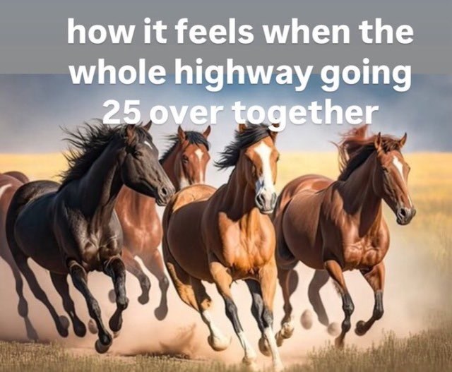 how it feels when the whole highway going 25 over together