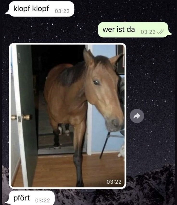 klopf klopf 03:22 pfört 03:22 wer ist da 03:22 03:22