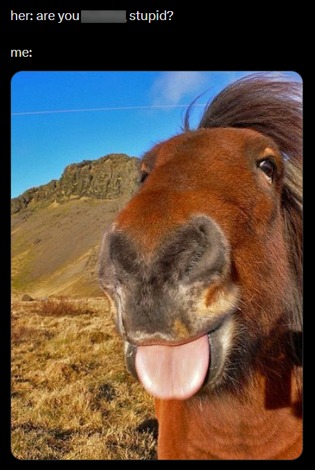 her: are you stupid? me: