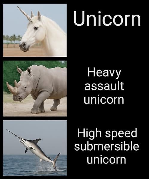 Unicorn Heavy assault unicorn High speed submersible unicorn