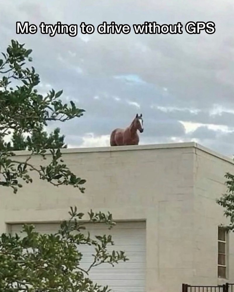 Me trying to drive without GPS