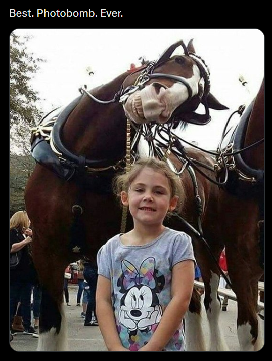 Best. Photobomb. Ever.