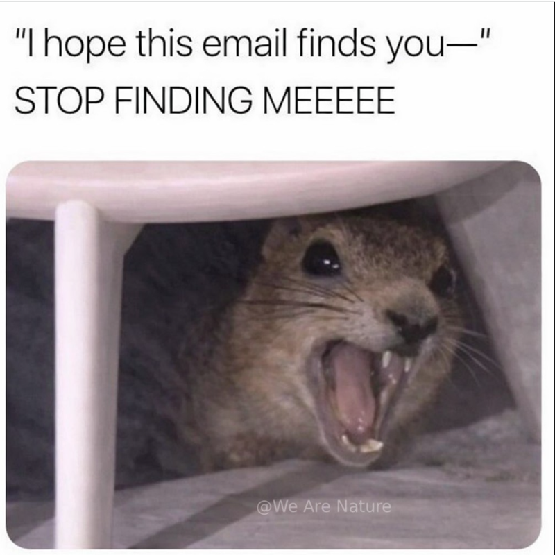 "I hope this email finds you—" STOP FINDING MEEEEE @We Are Nature