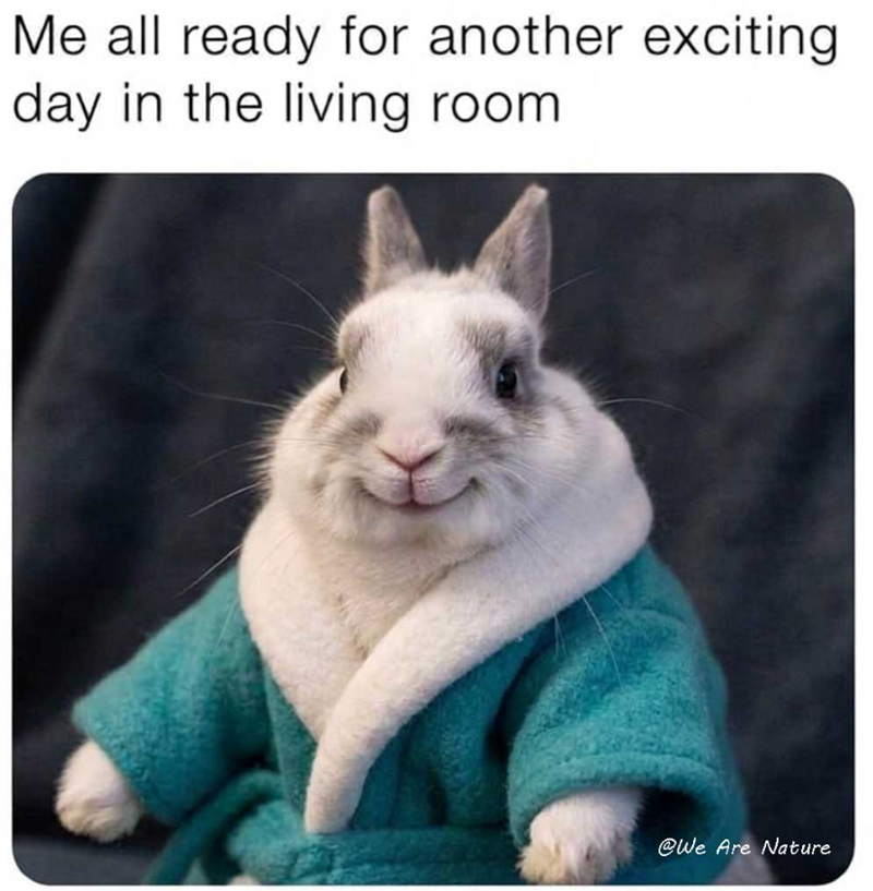 Me all ready for another exciting day in the living room @We Are Nature