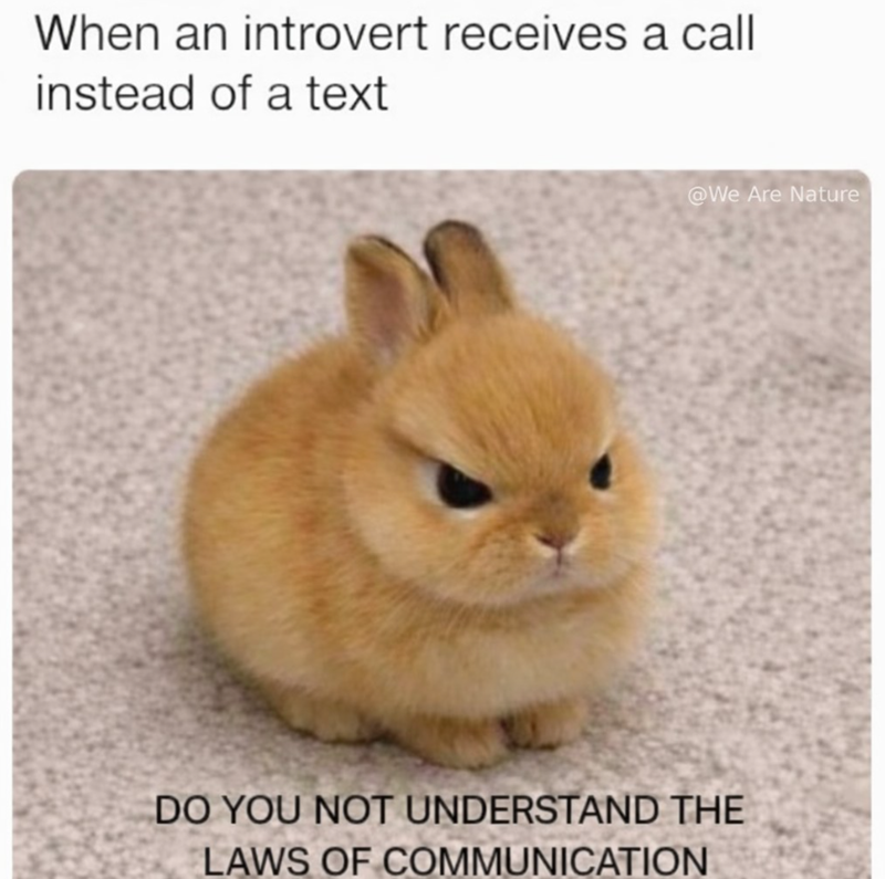 When an introvert receives a call instead of a text @We Are Nature DO YOU NOT UNDERSTAND THE LAWS OF COMMUNICATION
