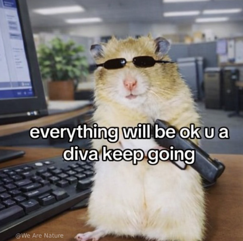 everything will be ok u a diva keep going @We Are Nature