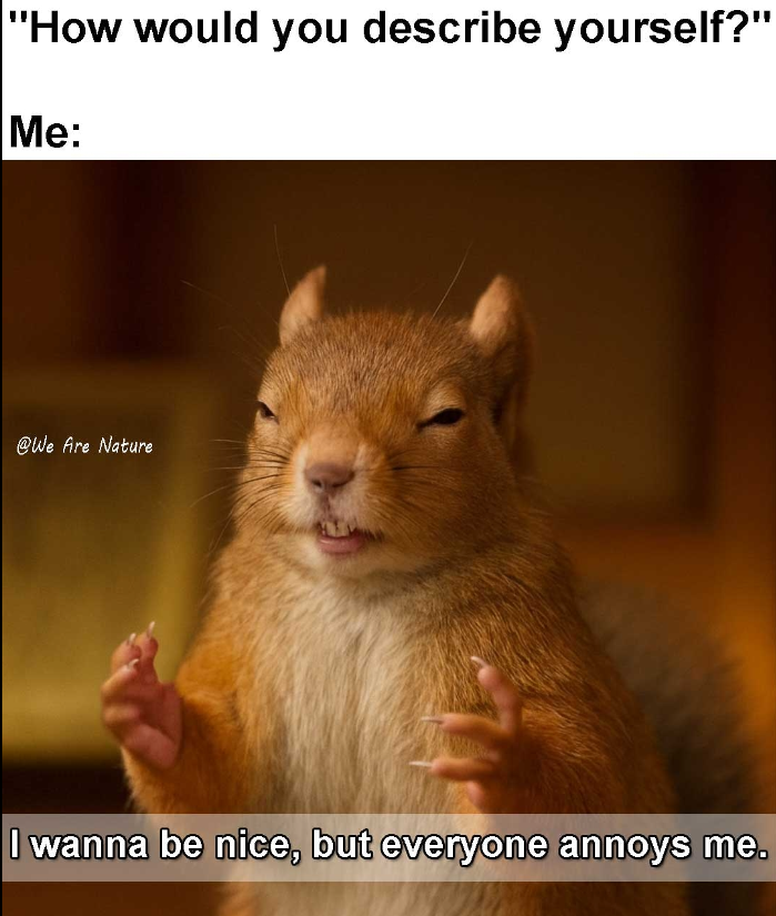 "How would you describe yourself?" Me: @We fire Nature I wanna be nice, but everyone annoys me.