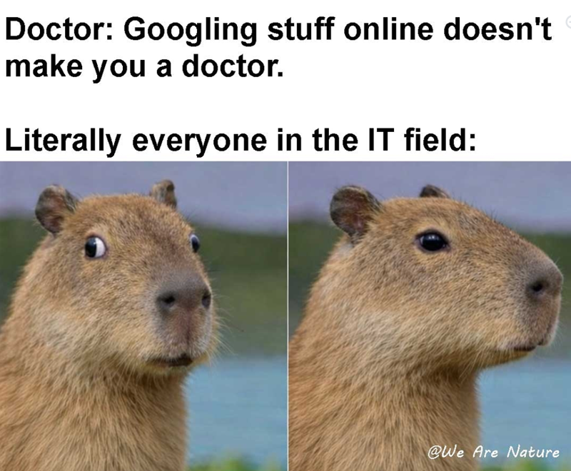 Doctor: Googling stuff online doesn't make you a doctor. Literally everyone in the IT field: @We Are Nature