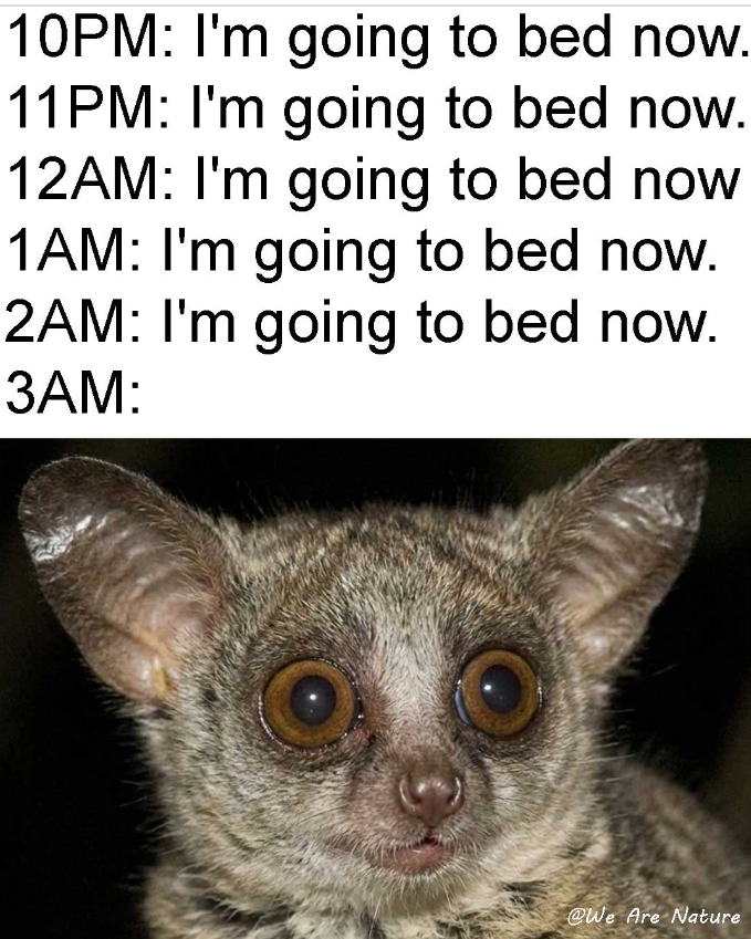10PM: I'm going to bed now. 11PM: I'm going to bed now. 12AM: I'm going to bed now 1AM: I'm going to bed now. 2AM: I'm going to bed now. 3AM: @We Are Nature