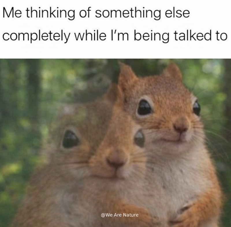 Me thinking of something else completely while I'm being talked to @We Are Nature