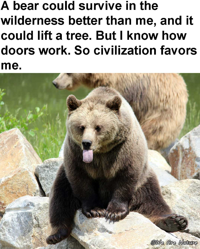 A bear could survive in the wilderness better than me, and it could lift a tree. But I know how doors work. So civilization favors me. @We Are Nature