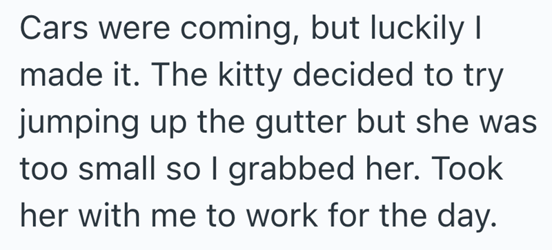 Cars were coming, but luckily I made it. The kitty decided to try jumping up the gutter but she was too small so I grabbed her. Took her with me to work for the day.