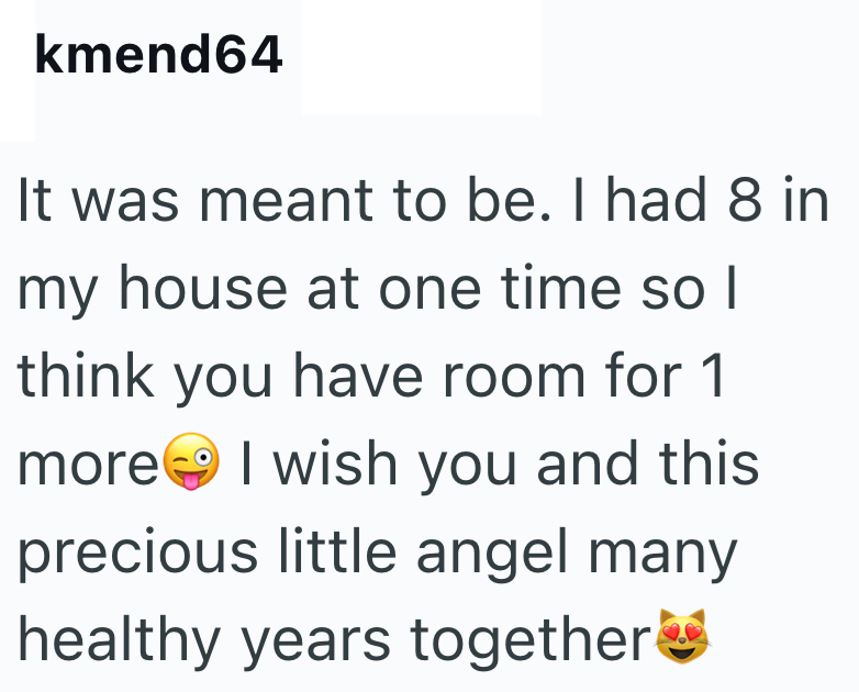 kmend64 It was meant to be. I had 8 in my house at one time so I think you have room for 1 more I wish you and this precious little angel many healthy years together