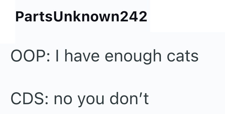 PartsUnknown242 OOP: I have enough cats CDS: no you don't