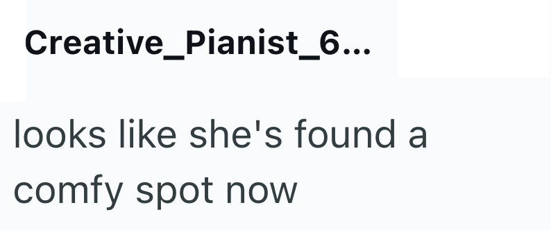 Creative_Pianist_6... looks like she's found a comfy spot now