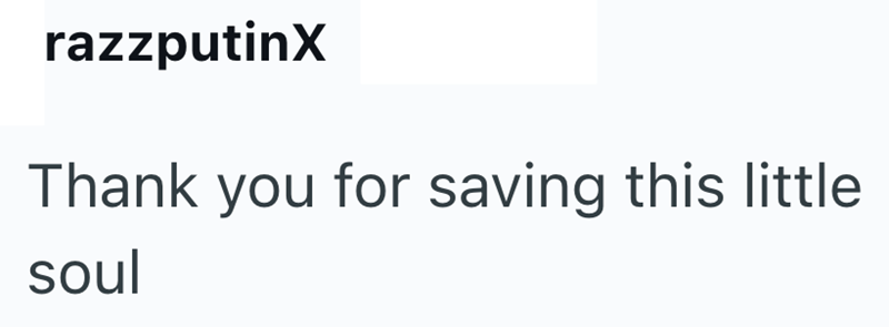 razzputinX Thank you for saving this little soul