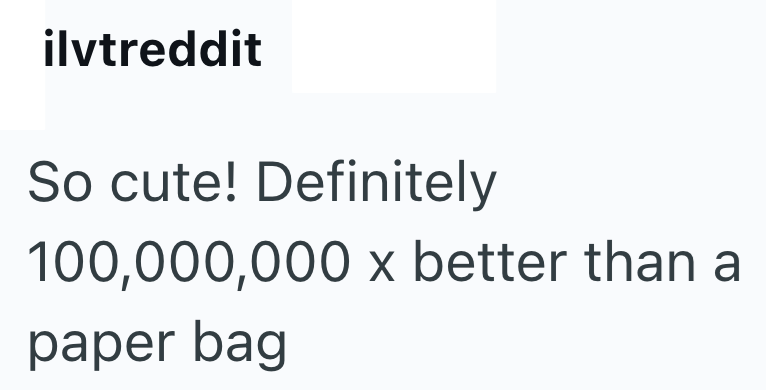 ilvtreddit So cute! Definitely 100,000,000 x better than a paper bag