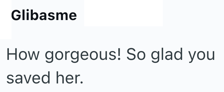 Glibasme How gorgeous! So glad you saved her.