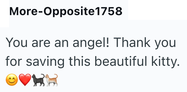 More-Opposite1758 You are an angel! Thank you for saving this beautiful kitty.