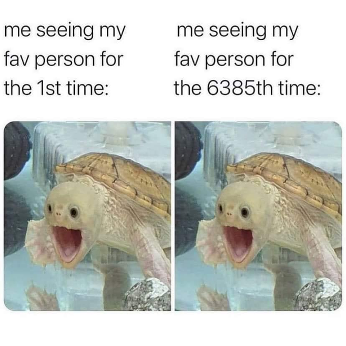 me seeing my fav person for the 1st time: me seeing my fav person for the 6385th time: