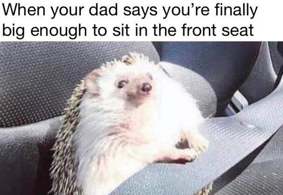 When your dad says you're finally big enough to sit in the front seat