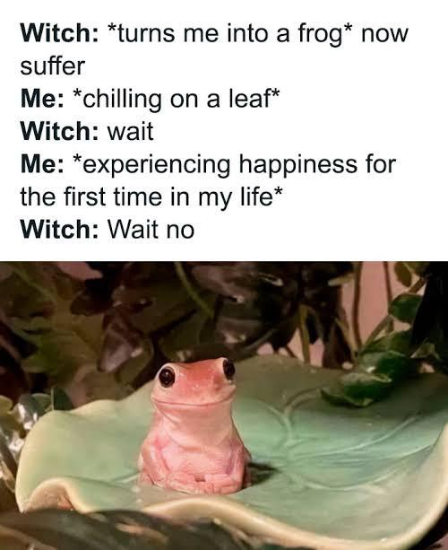 Witch: *turns me into a frog* now suffer Me: *chilling on a leaf* Witch: wait Me: *experiencing happiness for the first time in my life* Witch: Wait no