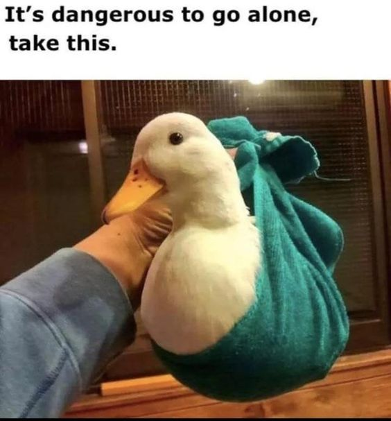 It's dangerous to go alone, take this.
