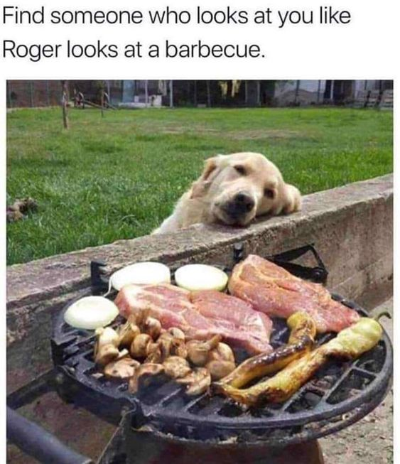Find someone who looks at you like Roger looks at a barbecue.